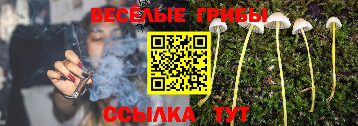 Галлюциногенные грибы Cubensis  Вход с VPN  Ленинск-Кузнецкий  Галлюциногенные грибы GOLDEN TEACHER 